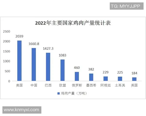 成都排球队个人能力分析与发展潜力探讨